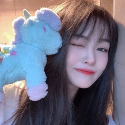 天竺鼠车车